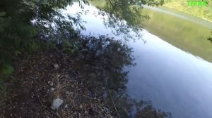 Озеро за станицей Бекешевской не далеко от "Брежневской дачи"