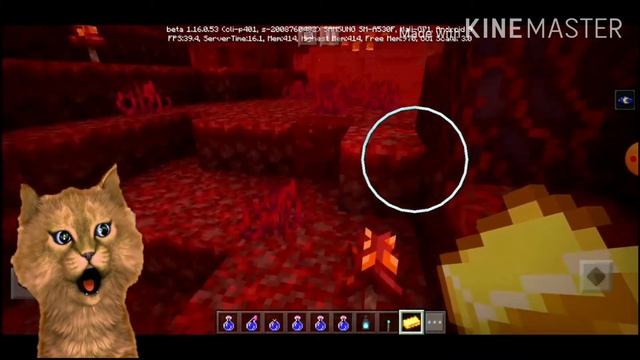 ОБЗОР НА НОВУЮ ВЕРСИЮ 1.16 ( Beta ) ! МАЙНКРАФТ!