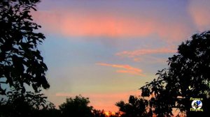 Микола Мозговий (Николай Мозговой)-Минає день,минає ніч...