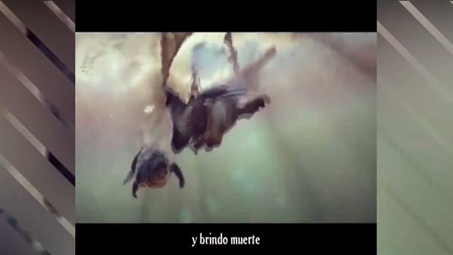 Viendo Universos Cap 2