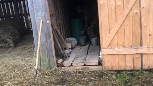 Как мы кормим ЗУБРОВ и какую еду они предпочитают смотреть онлайн