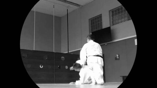 Training of kokyu nage смотреть онлайн