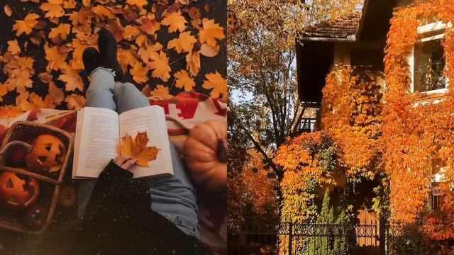 Autumn Comfort Playlist