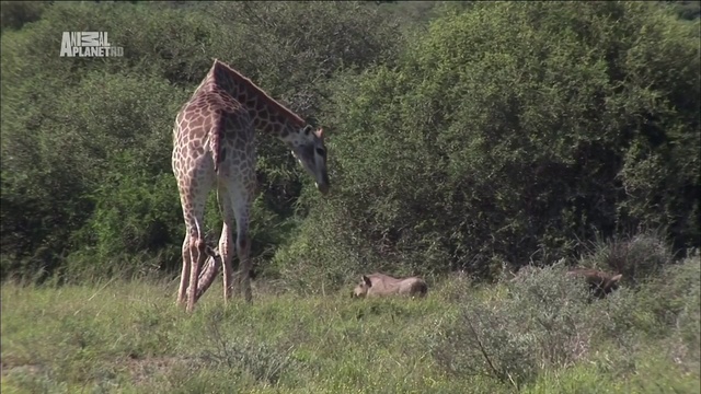 1 смотреть онлайн