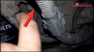 Где номер двигателя Шкода Октавия А5 1.6 BSE