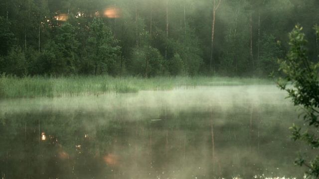Relax with serene forest walks and cascading waterfalls. ( Видео для релаксации ) смотреть онлайн