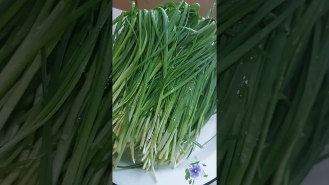 Зелень / ВЕСНА/ ДЖУСАЙ /ЧЕРЕМША/ КИТАЙСКИЙ ЛУК #уйгурка смотреть онлайн