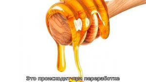 Может ли испортиться мед