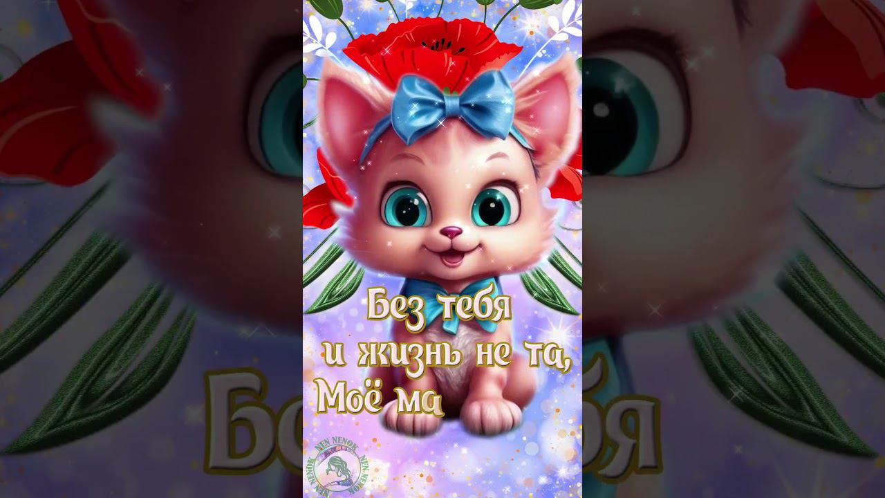 День кошек! День кошки в России смотреть онлайн