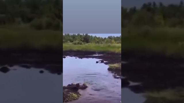 Ушел в текстуры смотреть онлайн