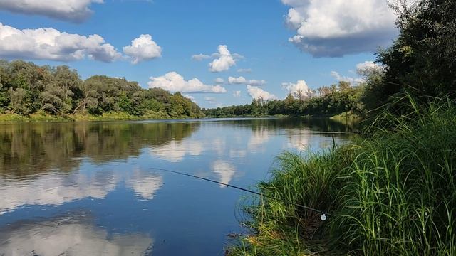Рыбалка на Клязьме с загадками и находками. Знатоки, внимание вопрос! 05092023.