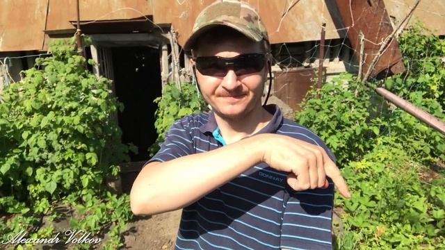 Собирают много клубники. Deaf смотреть онлайн