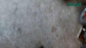 нива 21214 замена натяжителя и успокоителя цепи