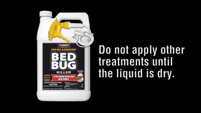 ✅ 7 Best Bed Bug Sprays 🌄 The Best Bed Bug Spray in 2019 смотреть онлайн