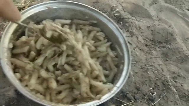 Пеший поход с ночёвкой и рыбалкой. #поход #палатка #рыбалка #природа смотреть онлайн