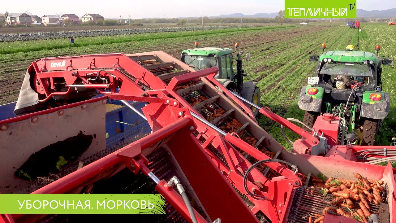 Уборочная кампания в "Тепличном". Морковь смотреть онлайн