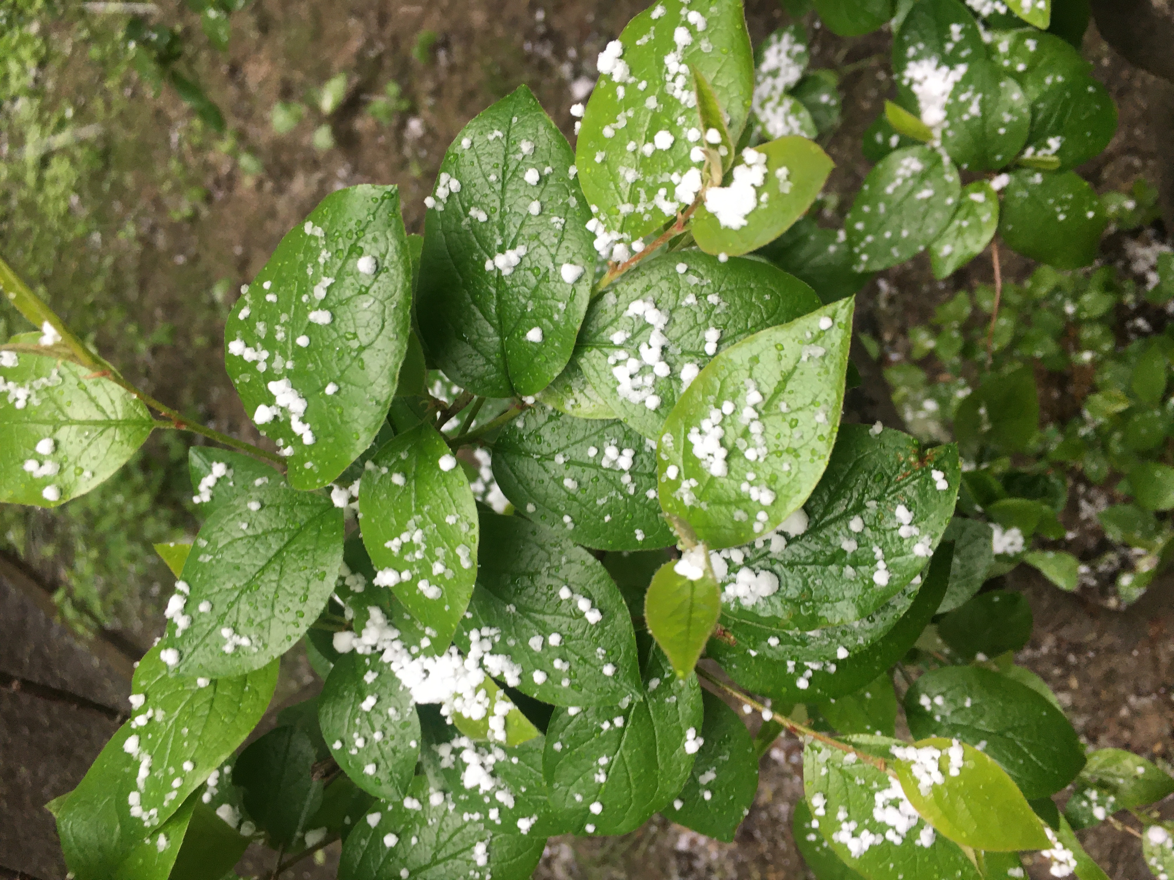 Погодка в Москве 09 мая 2024 смотреть онлайн