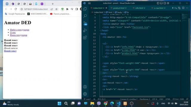 Урок 28. Стилизуем содержимое тега span. HTML + CSS Basics. смотреть онлайн
