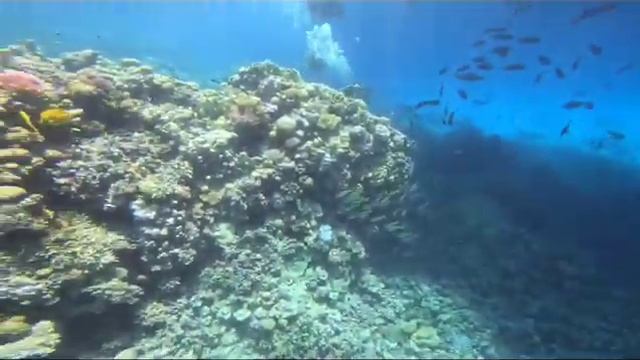 то, ради чего стоит погружаться смотреть онлайн