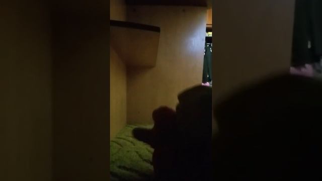 не смотрите это это полный кринж смотреть онлайн