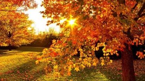 Поздней осенней порой