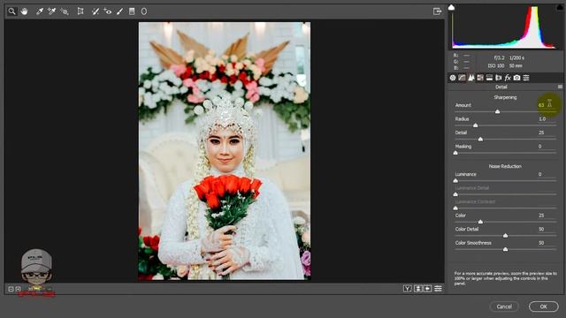 FreeDOWNLOAD PRESET FOTO WEDDING CameraRAW.xmp ADOBE PHOTOSHOP mp4 смотреть онлайн
