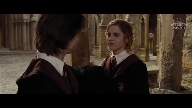 Гарри, Рон и Гермиона Финальная Сцена | Гарри Поттер и Кубок Огня смотреть онлайн