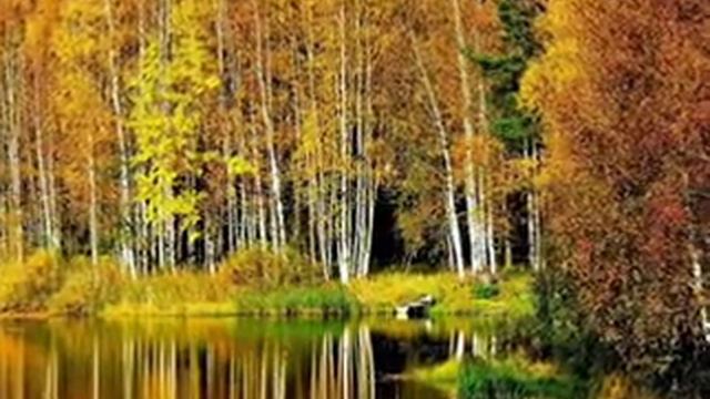 Под маской плюшевого пледа-В Пономарева — Видео@MailRu