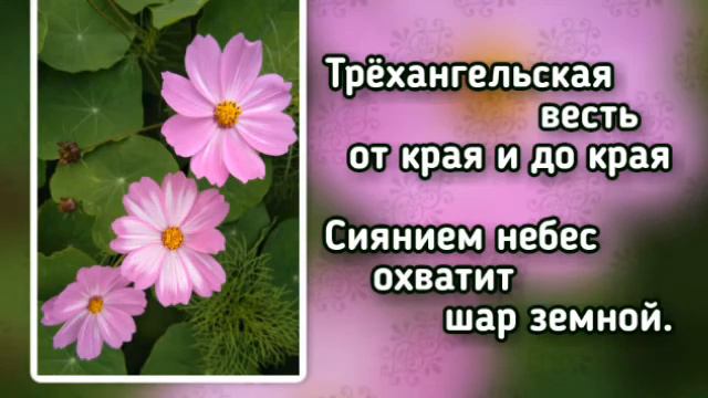 Источник хвалы 242 Хвала Тебе, хвала (-)
