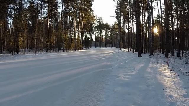 Темповая тренировка 25.11.2017 смотреть онлайн