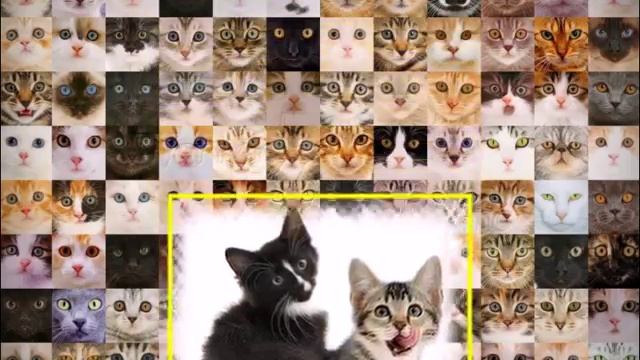 Кошки, кошки смотреть онлайн