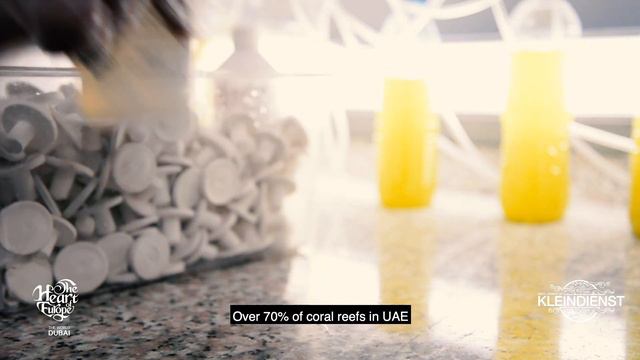 The Heart of Europe - Discover what The Coral Institute does to protect coral reefs. смотреть онлайн
