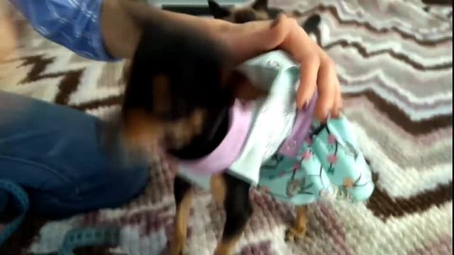 Снятие мерок на головные уборы ( кепки, шапки) смотреть онлайн