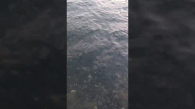 Моя первая Рыбалка в Крыму!!! г. Судак !!! смотреть онлайн