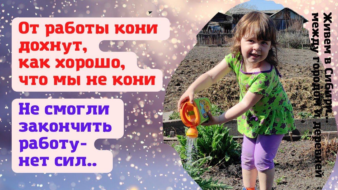 14.05.2022 От работы кони дохнут, как хорошо, что мы не кони. В Сибири лето короткое