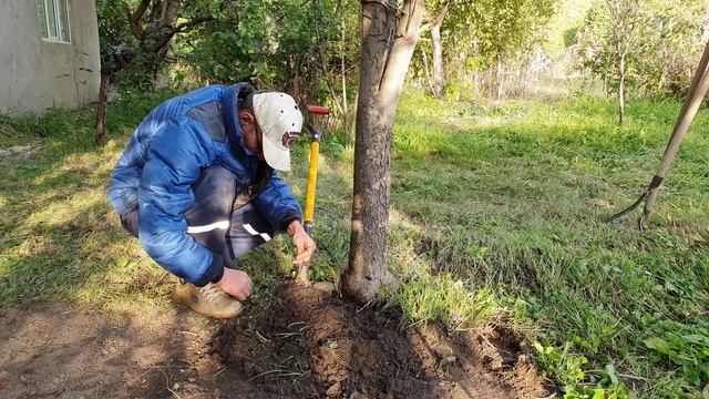 18 Взглянем что тут растёт (3).mp4 смотреть онлайн