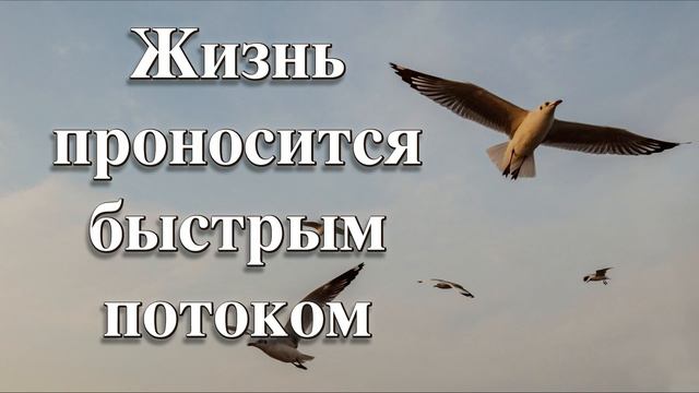 Жизнь проносится быстрым потоком | Жизнь промчится как быстрая птица смотреть онлайн