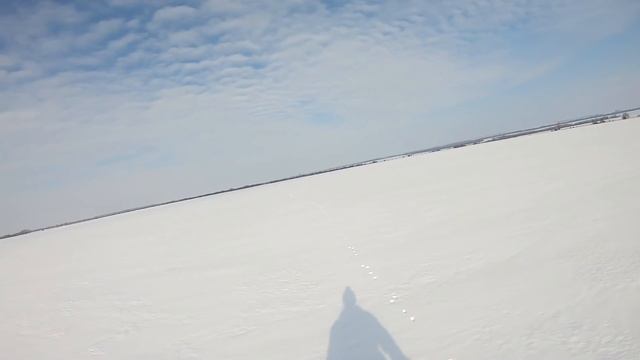 Кабано-Заячья ОХОТА!!! Пошел на зайца. а встретил кабанов! смотреть онлайн