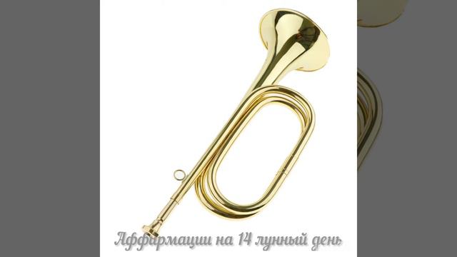Аффирмации на 14 лунный день смотреть онлайн