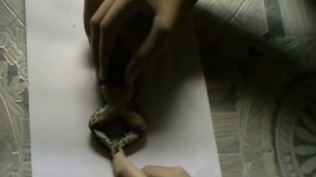 Как загипнотизировать лягушку смотреть онлайн