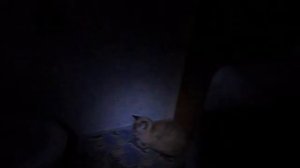 Вызов Духов: Вызов Смеха