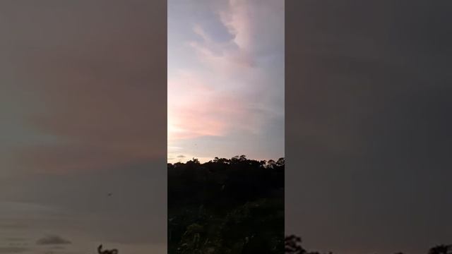 ШРИ-ЛАНКА. ХИККАДУВА ЛЕТУЧИЕ МЫШИ И ЗАКАТ. смотреть онлайн