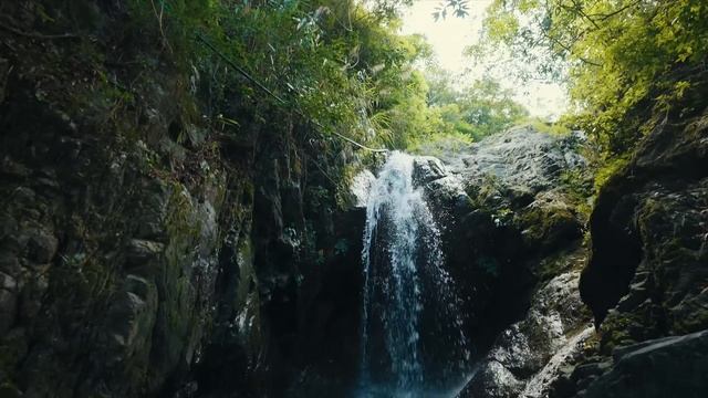 OUKITEL WP28 - KING OF RUGGEDPHONE [ Large Battery, 15+256GB & 48MP Camera You Won't Believe ]