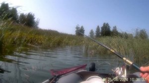 РЫБАЛКА В ЛИПЕЦКОЙ ОБЛАСТИ.