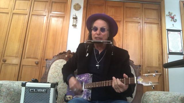 Splendid isolation Warren Zevon on 3 string Cigar Box Guitar смотреть онлайн