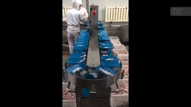 Линия для обработки куриных лапок ZHM-500 смотреть онлайн