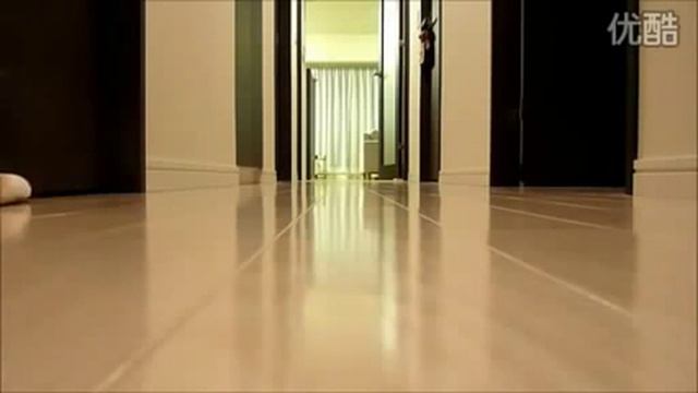 Смешной кот , прикол 2014, ржач смотреть онлайн