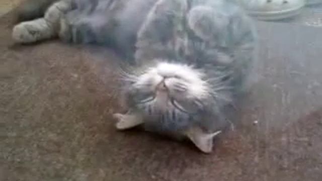 Belly up pt.1 смотреть онлайн
