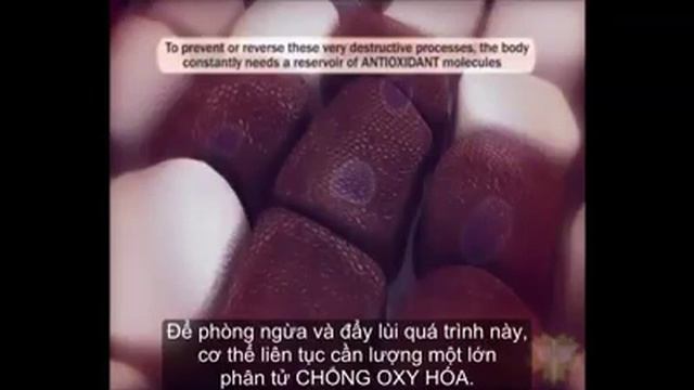 GỐC TỰ DO là gì ? (097.775.0195) смотреть онлайн