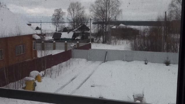 Строю дом из газобетона самостоятельно 26